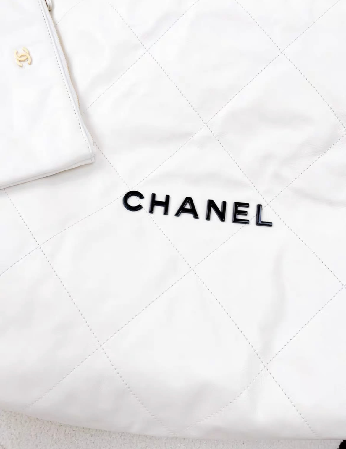 Chanel Chanel 22 Shoulder Bag - Rovelle Bags