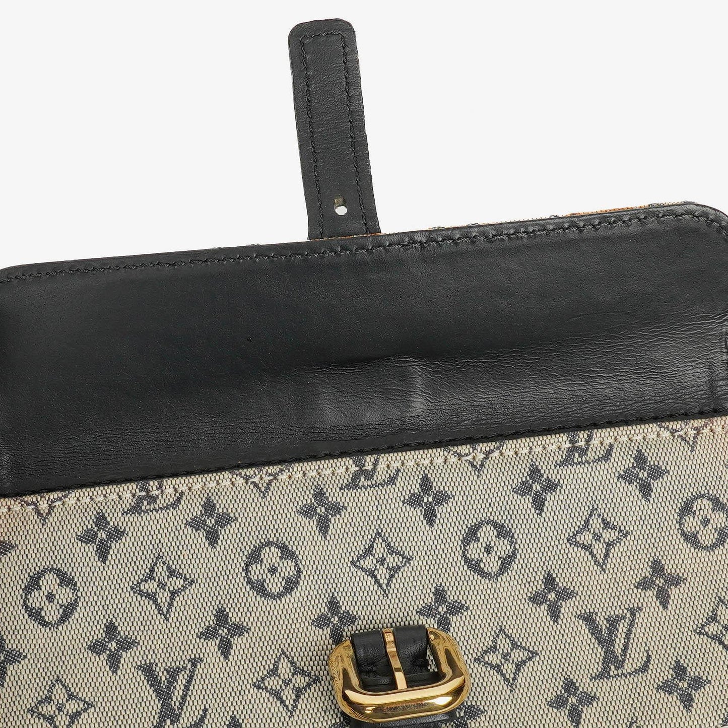Louis Vuitton Juliette Crossbody Bag in Monogram Mini Lin