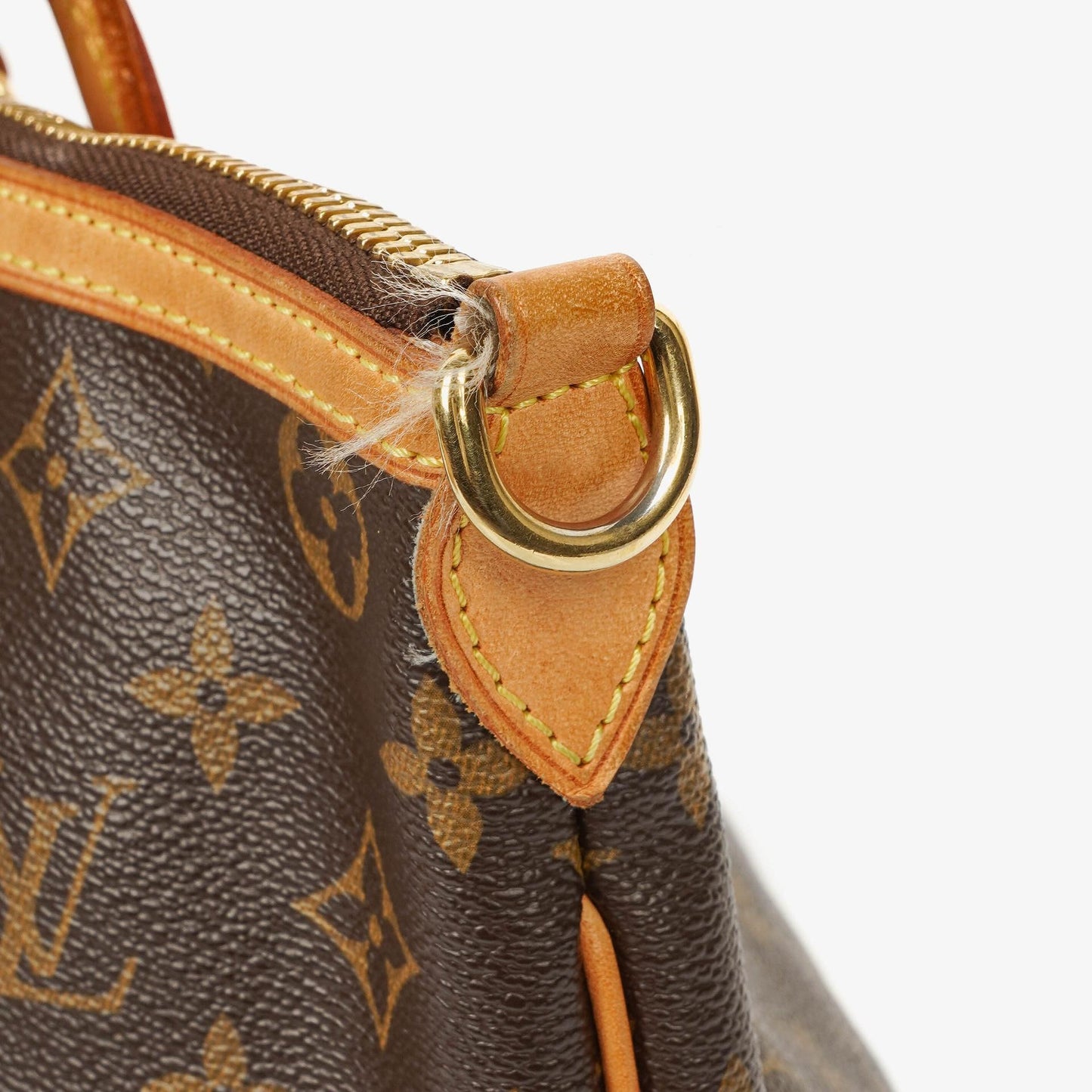 Louis Vuitton Palermo PM Monogram Canvas Shoulder Bag