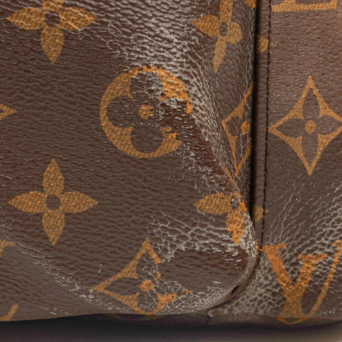 Louis Vuitton Palm Springs MM Monogram Backpack