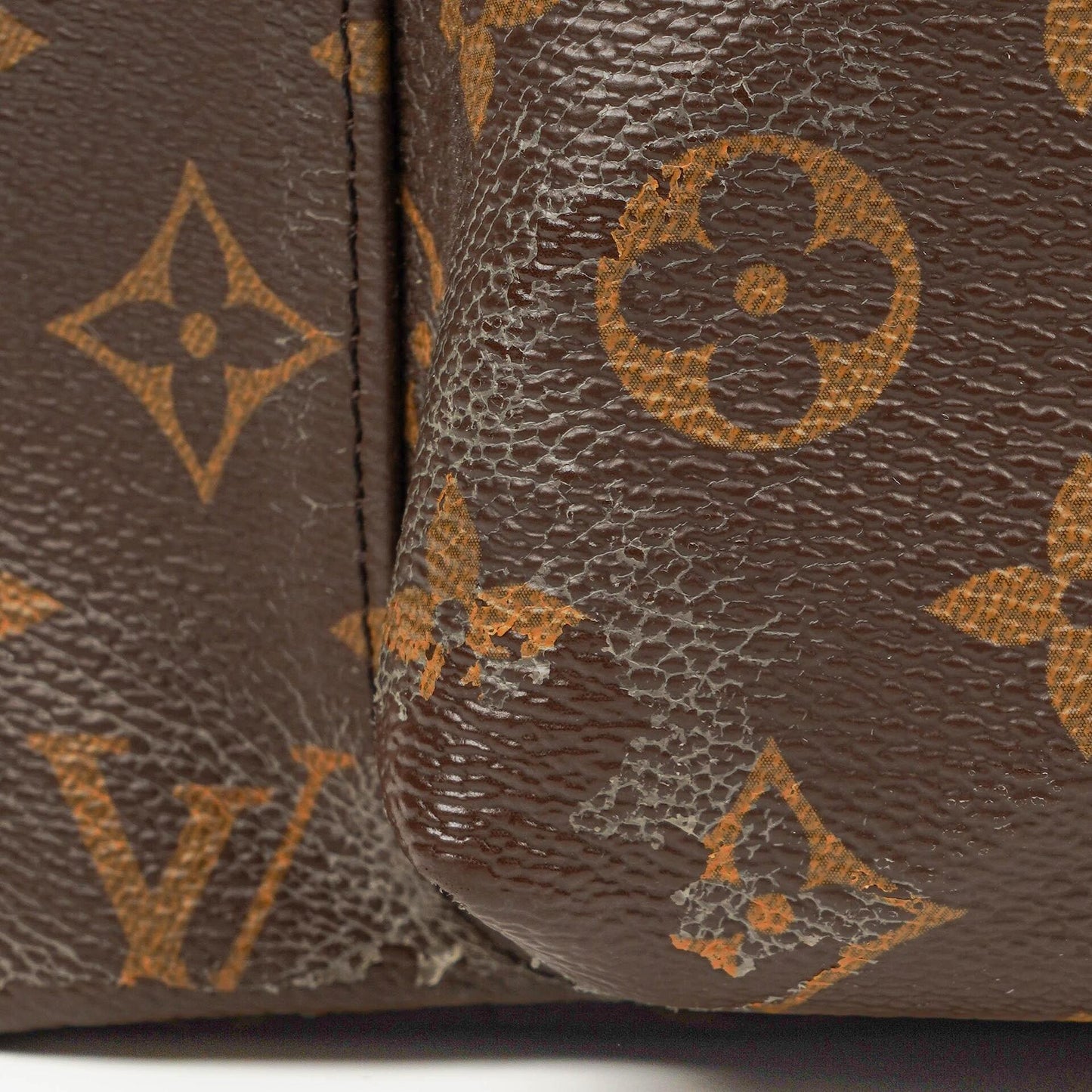 Louis Vuitton Palm Springs MM Monogram Backpack