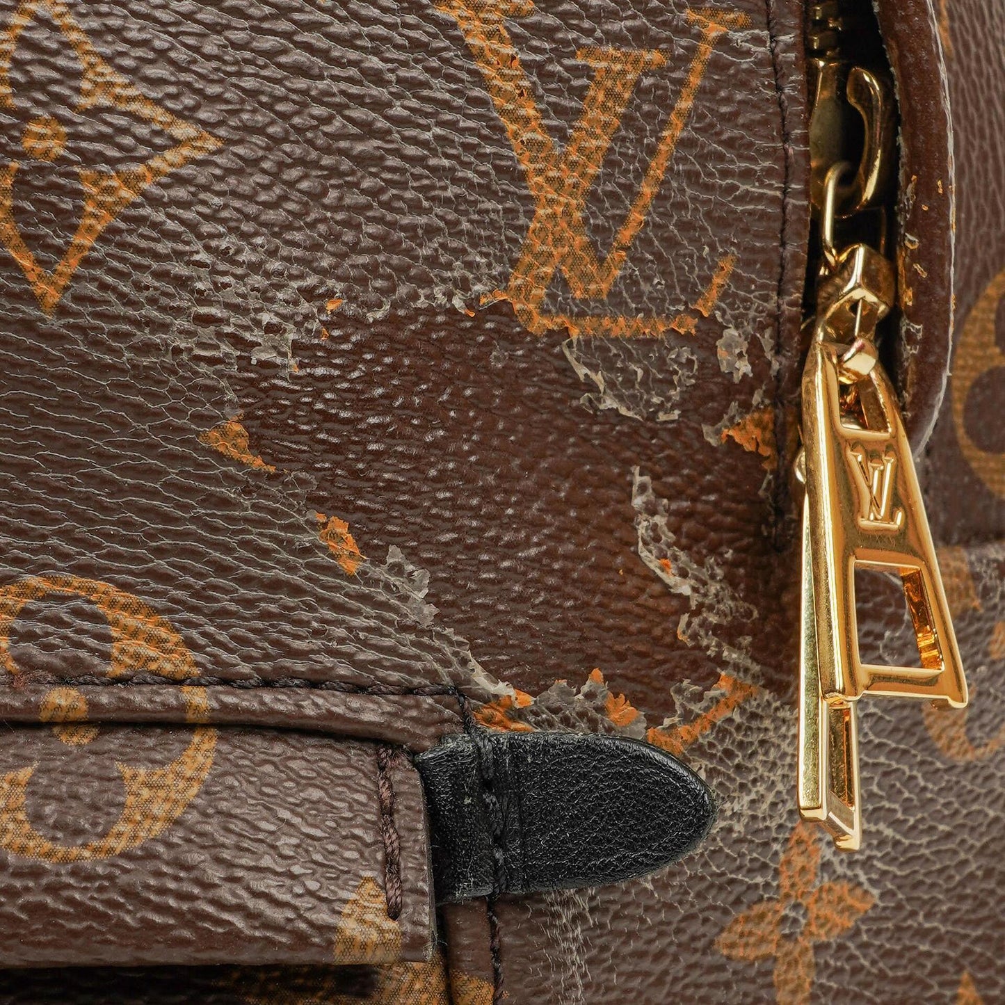 Louis Vuitton Palm Springs MM Monogram Backpack