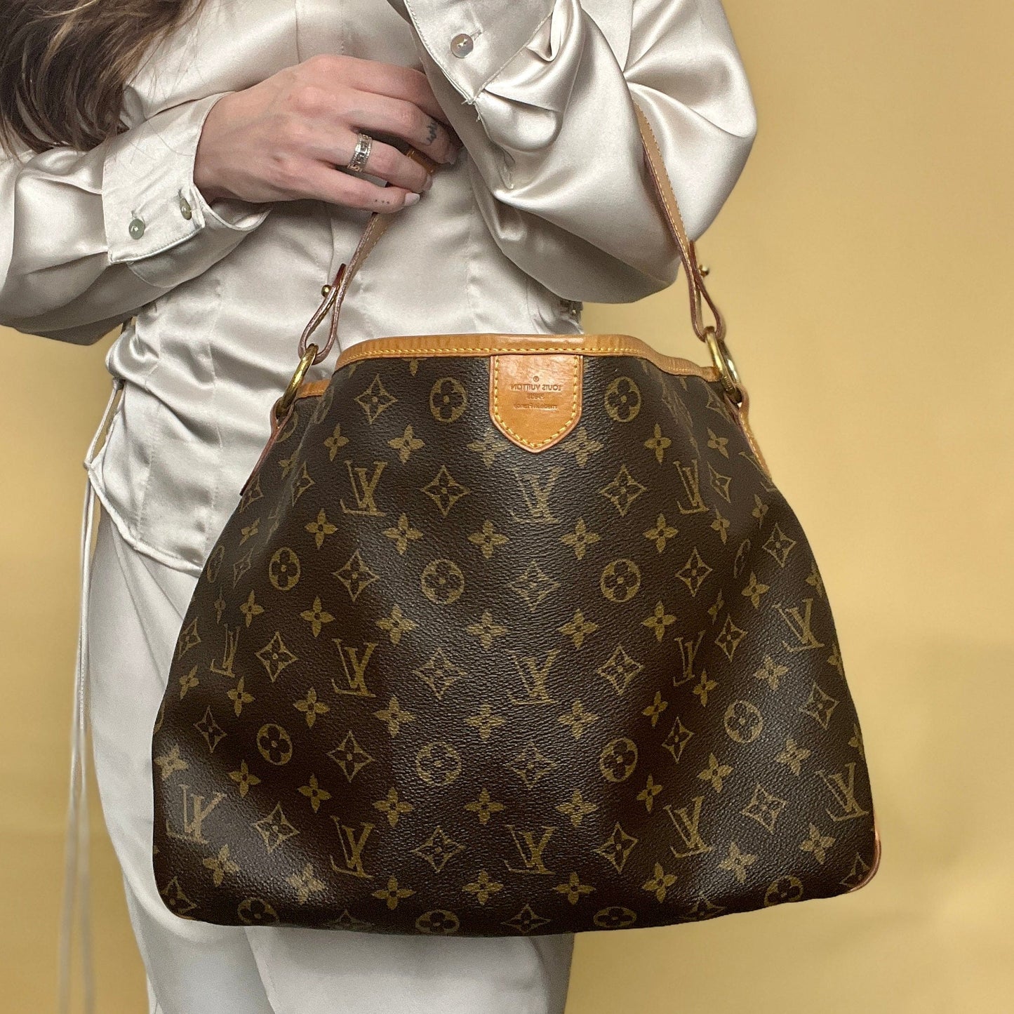 Louis Vuitton Monogram Delightful PM Bag
